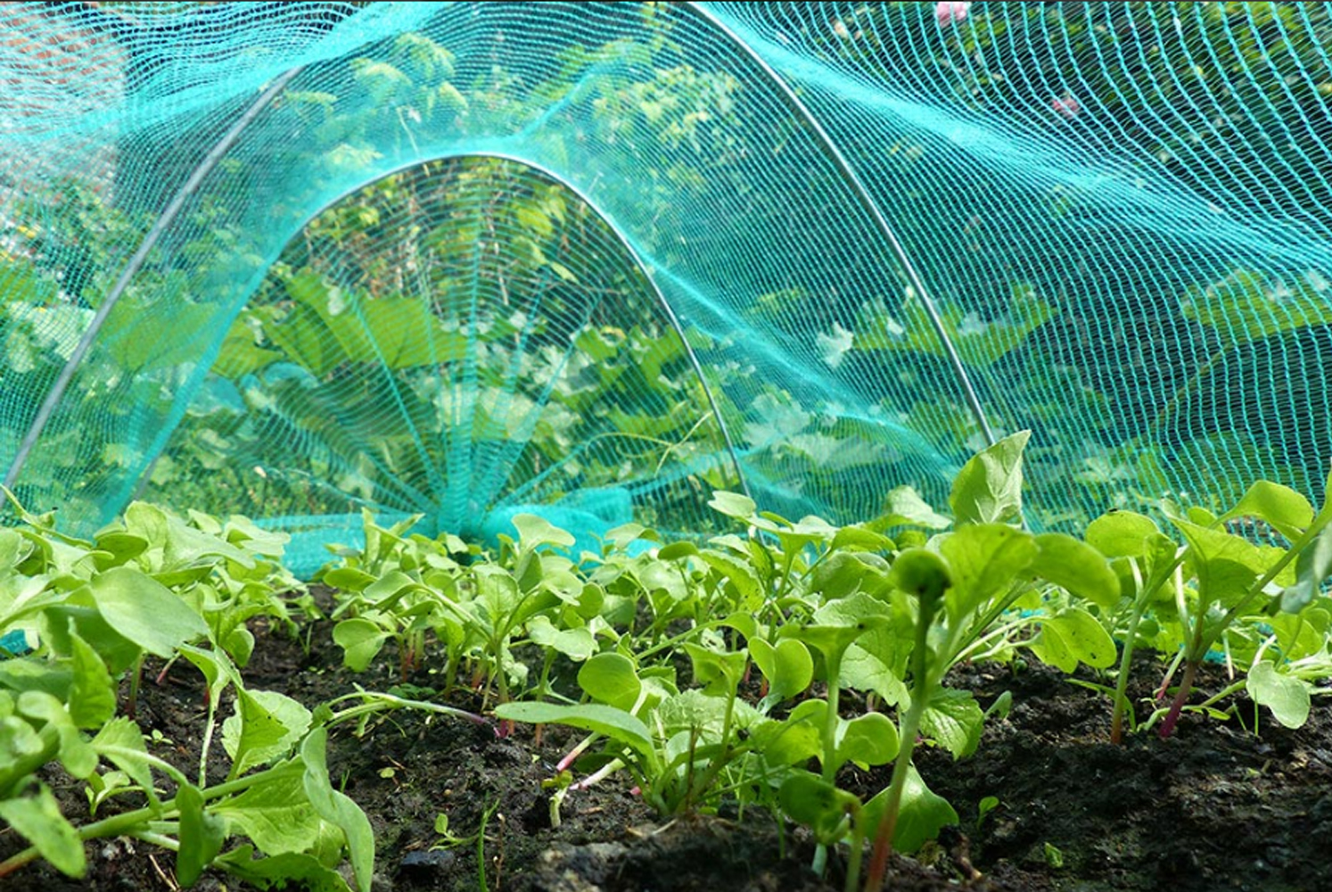 Unveiling the Green Revolution: The Role of Horticulture Nets from Leading Manufacturer and Supplier